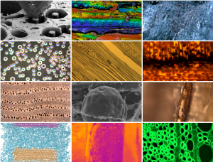 a grid of 12 colorful photos of microscopic images of bio-based materials