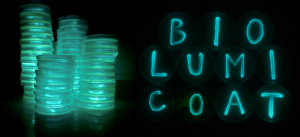 Visible bioluminescence from bacterial cultures investigated within the BIOLUMICOAT project.